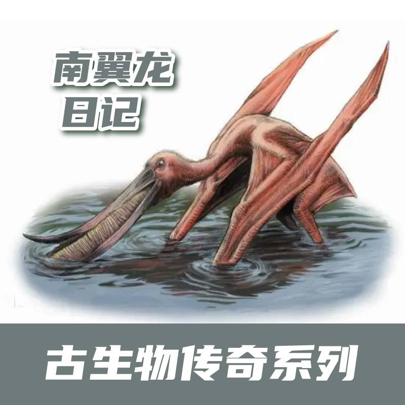 00c15865dbf1464aa375b3d714ddf4d1.Jpeg