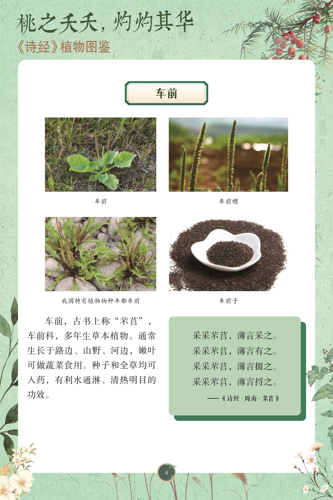 36a9b4f92a064a55bcc254ce9b7b14c2.jpg