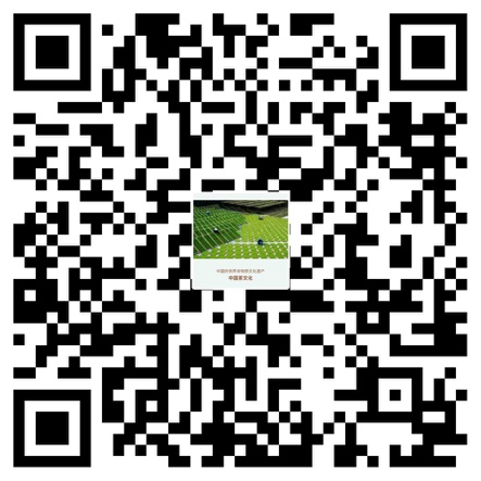 46ac0b9c1dce44abbb43a48d9101a128.Jpeg