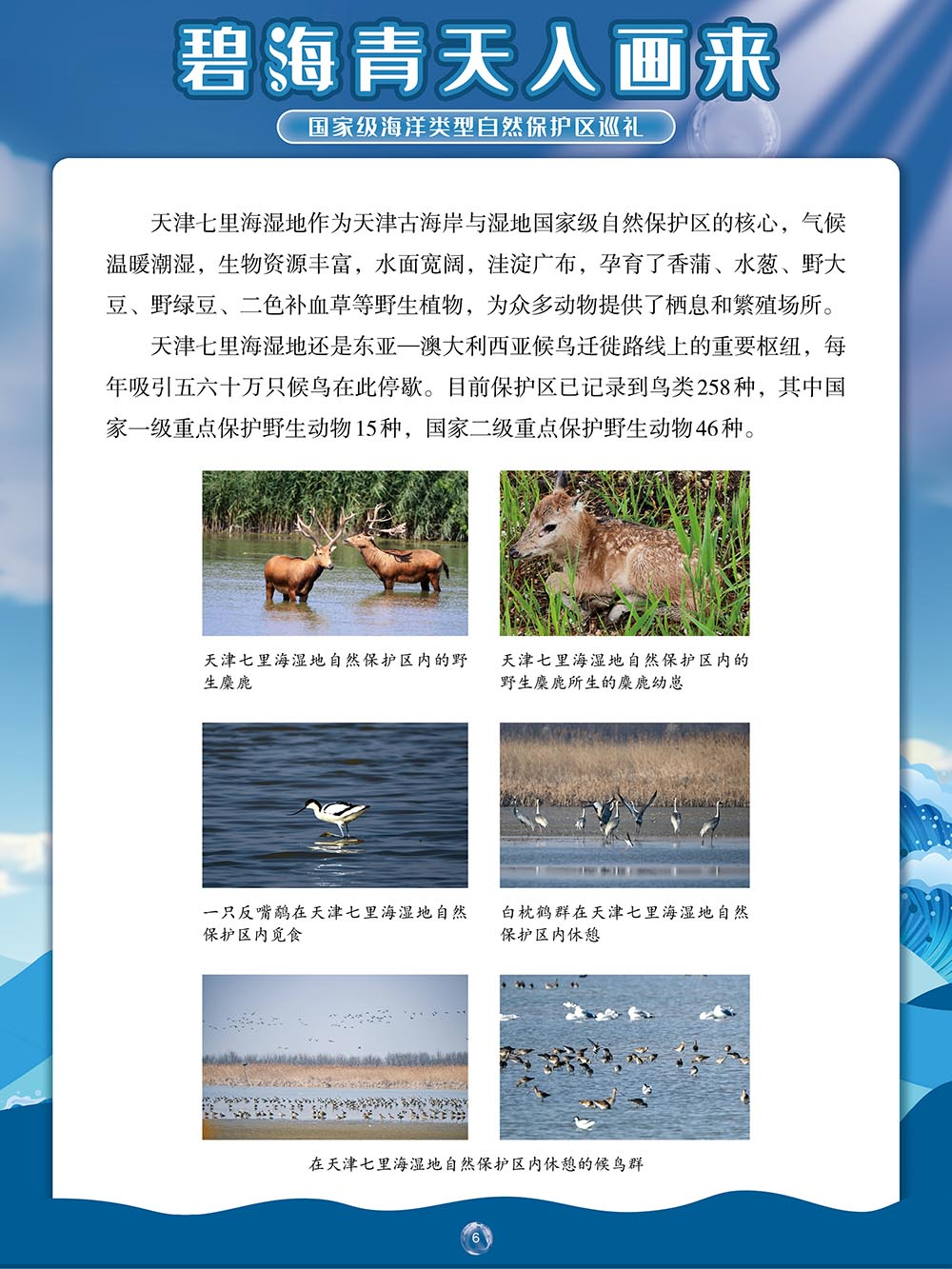 67d75c806cd84e27b57532beabcf5a51.png