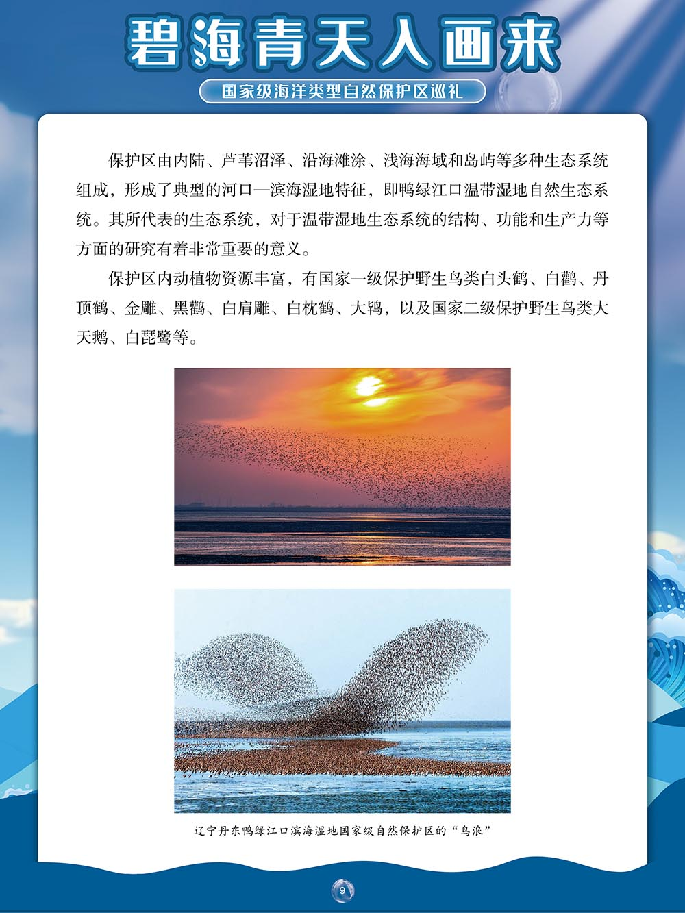 9759401df715496daf8efec0f858c9c7.png