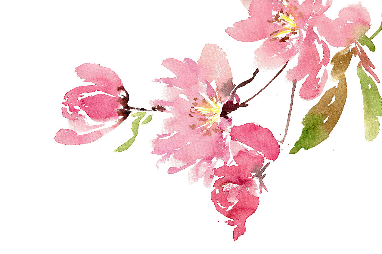 ad8aab8f05fe4ba0a4faa47f60c8fe81.Png