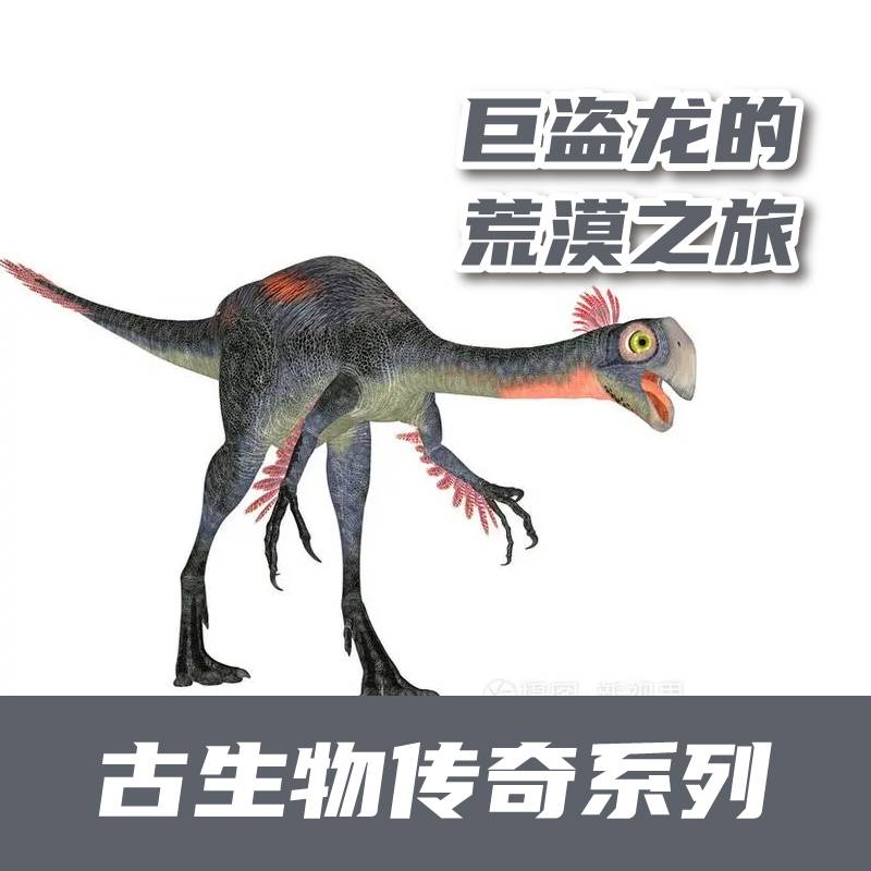 b11a13ecbcd646a290034bb688c1d493.Jpeg