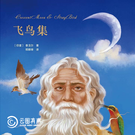 bfd8fb81e5e84740909be269c7b3b92e.Png