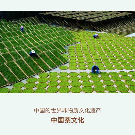 cab4007a058e4b339bf2cb73f914b050.Png