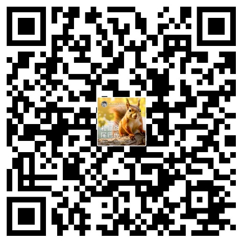 d8513e414ae74c8590c7001702a2c902.Jpeg