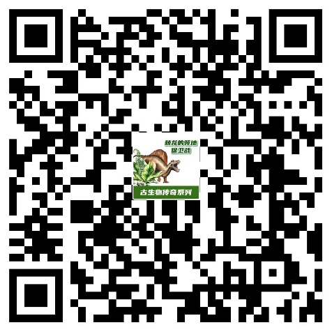 db785a81f6324cd7b7f5bf1fb379dca0.Jpeg