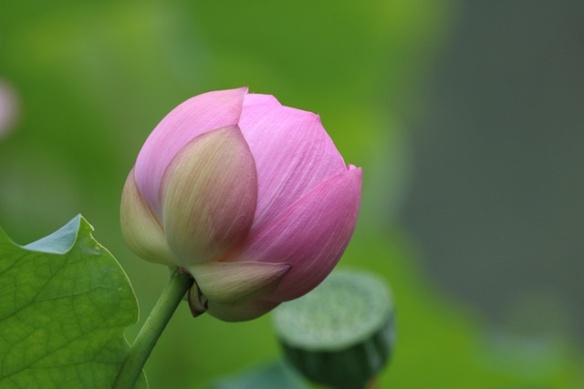 febc3d8e1f1e49f7a84ce5f933a178ab.Jpeg